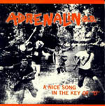 Adrenalin O.D. - A Nice Song In The Key Of "D"