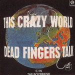 Dead Fingers Talk - This Crazy World
