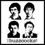 Buzzcocks - Secret Publics 'Best In Good Food'