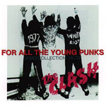 For All The Young Punks