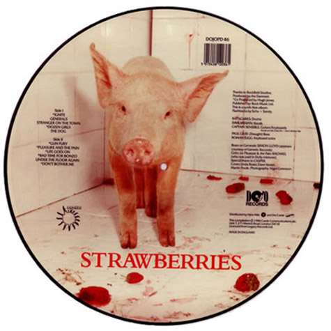 The Damned - Strawberries Picture Disc Side 1